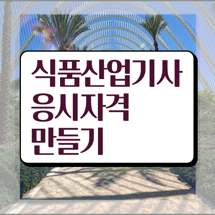  식품산업기사 자격증 식품산업기사 응시조건 온라인으로 간단하게 끝낸 후기