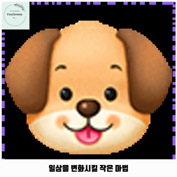 사진 2