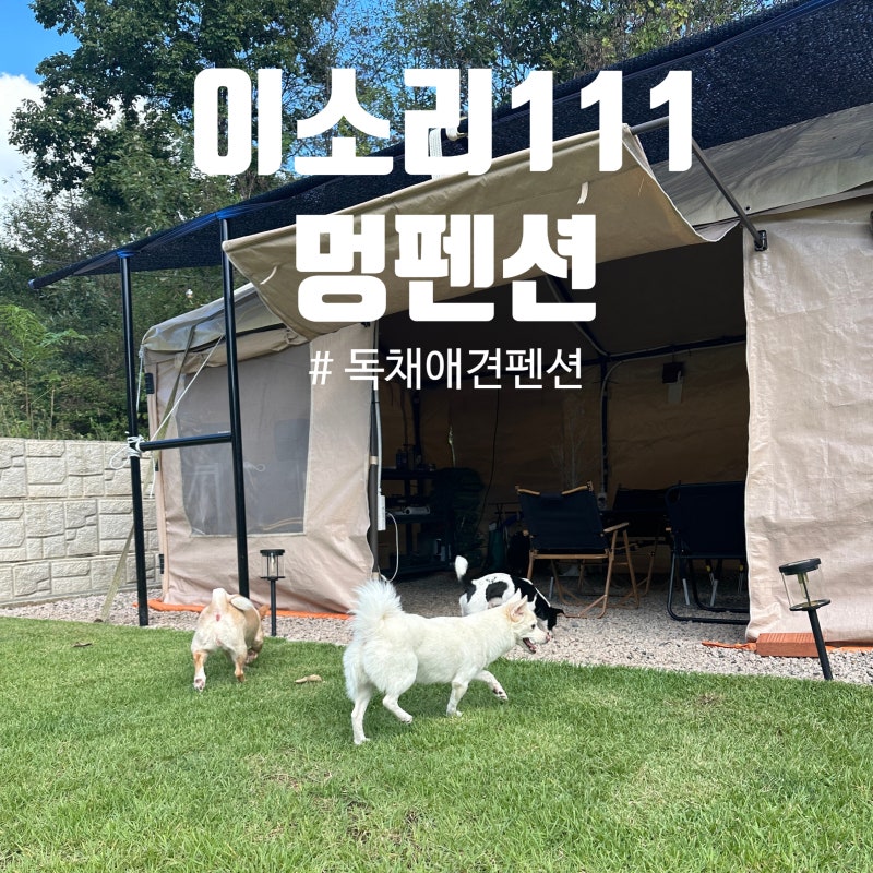 사진 3