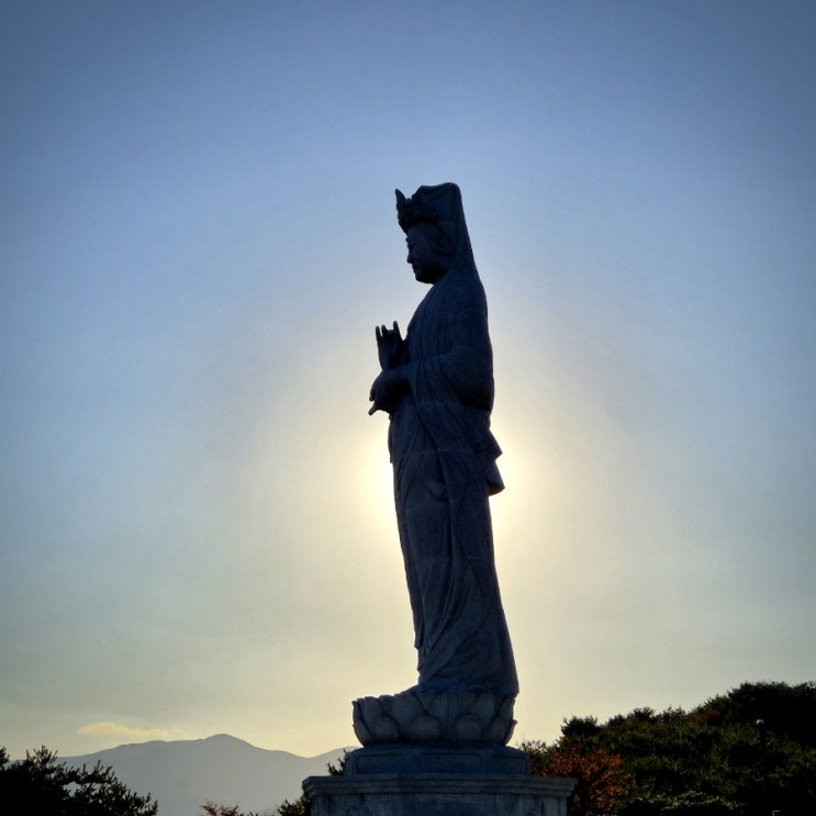  양양 가볼만한곳 낙산사 해수관음상 주차팁 (f.입장료,주차장)