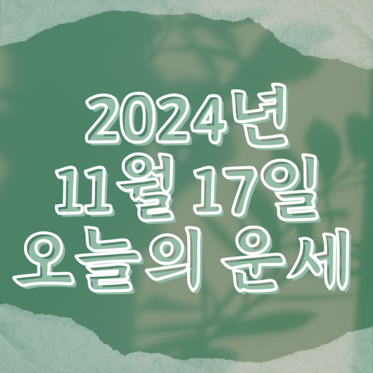  2024년 11월 17일 운세 오늘의운세 띠별운세