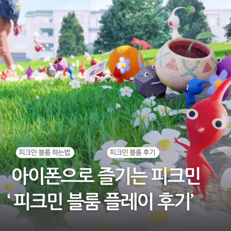  아이폰으로 피크민 블룸 하는법, 모종심기,플레이 후기