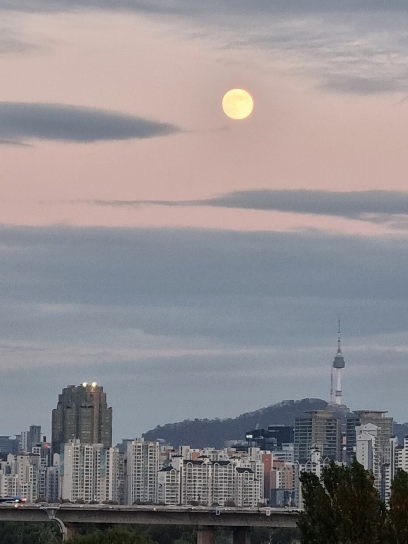 정책지식 2024.11.15. : 네이버 블로그