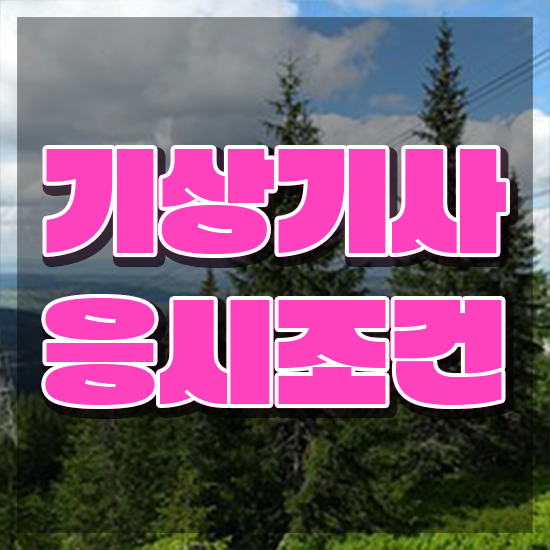  기상기사 시험자격 기상기사 시험응시조건 온라인 수업으로 단기간에 성공한 팁