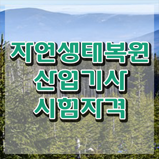  자연생태복원산업기사 응시자격 학점은행제로 단기간에 끝낸 비법