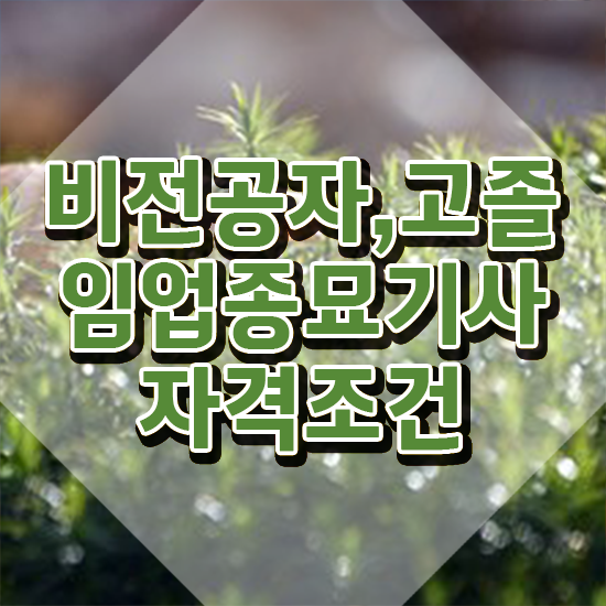  임업종묘기사 준비물 임업종묘기사 시험응시자격 독학으로 간단하게 끝낸 전략