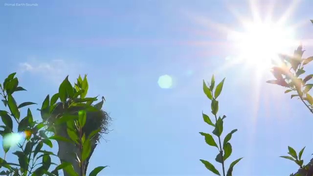 전자계산기조직응용기사 응시자격 전자계산기조직응용기사 시험응시자격 온라인으로 쉽고 빠르게 끝낸 비법