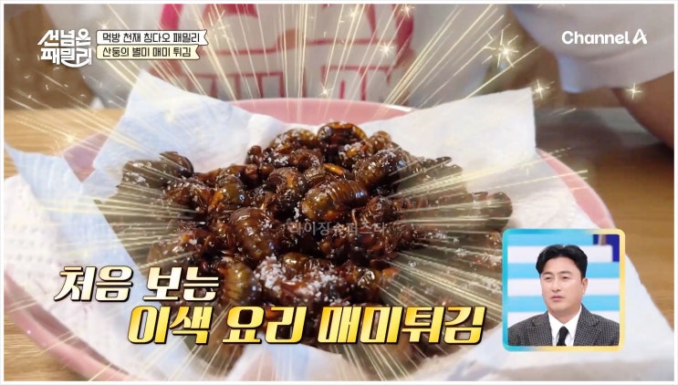  선넘은패밀리 칭다오 현보나 장하이시앙 진마이즈 김다선 샴페인 손지희 덴마크 야외취침 이혜원 안정환 유세윤 샘해밍턴 파비앙