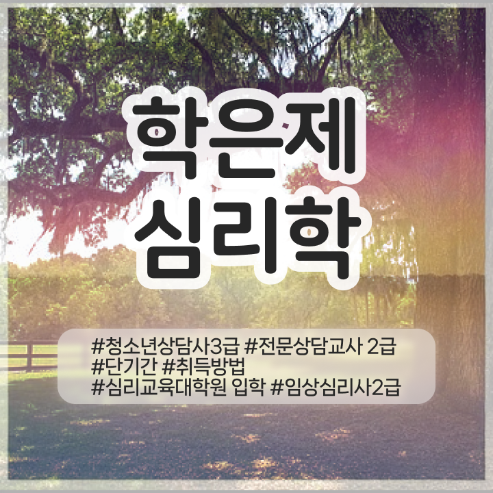  아동심리학 , 심리학 전공 관련학과 아니어도 최단기간 준비한 비법