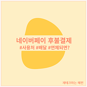 네이버페이 후불결제 사용처 연체되면? 가입방법 / 배민 배달
