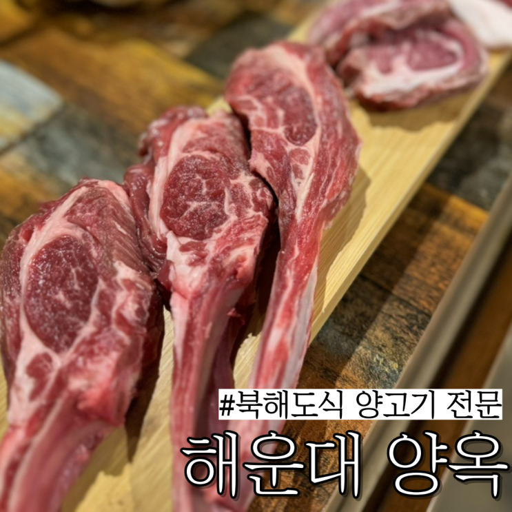  해운대 양고기 맛집: 신선한 북해도식 양고기와 무한리필 야채 샐러드바 있는 "양옥"