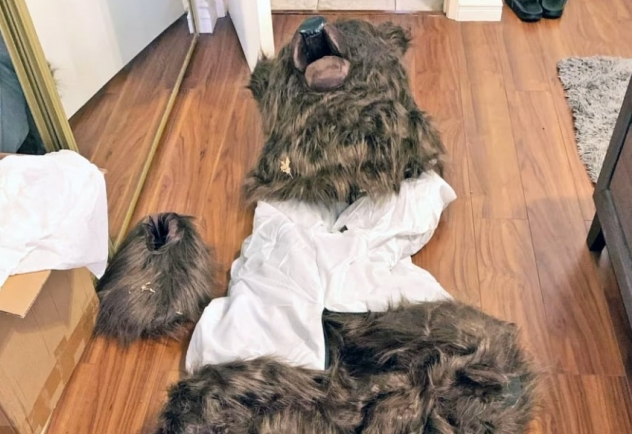 "곰이 차량을 망가뜨렸어요!"…보험금 노려 '곰인형 탈' 쓴 사기단 "곰이 차량을 망가뜨렸어요!"…보험금 노려 '곰인형 탈' 쓴 사기단