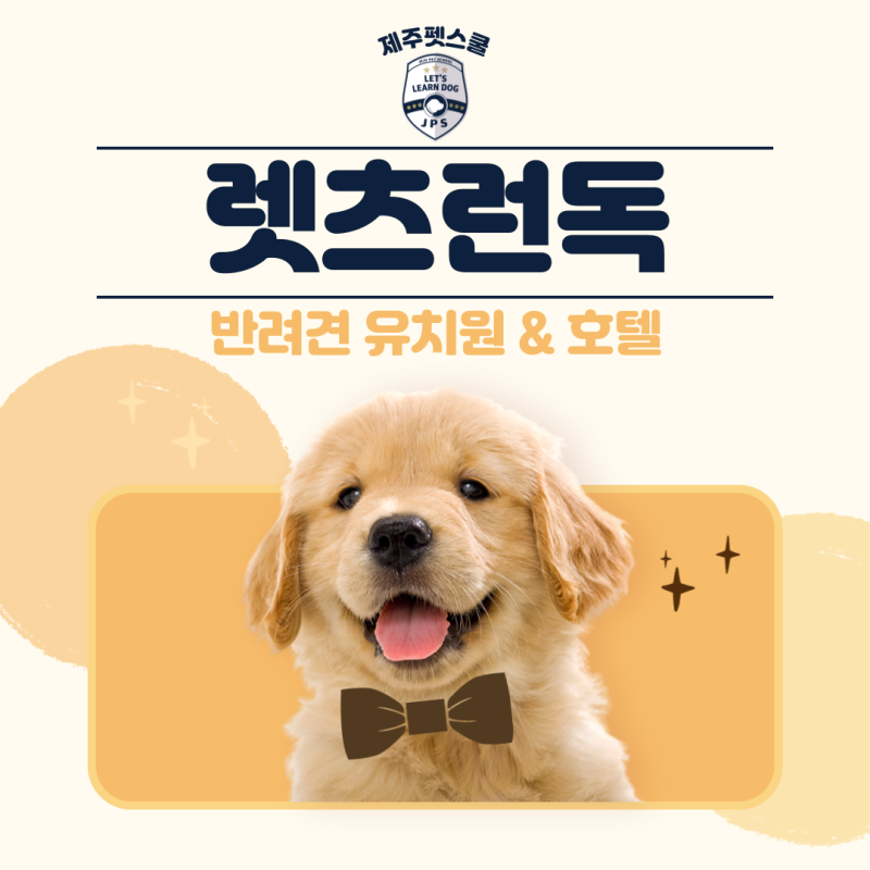 제주펫스쿨 어피독