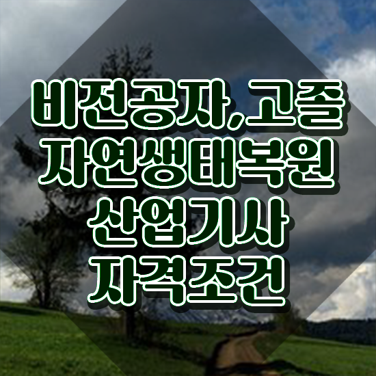  자연생태복원산업기사 시험응시조건 인강만 듣고 편하게 완료한 전략