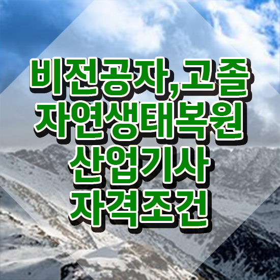  자연생태복원산업기사 응시조건 인강만 듣고 단기간에 성공한 전략