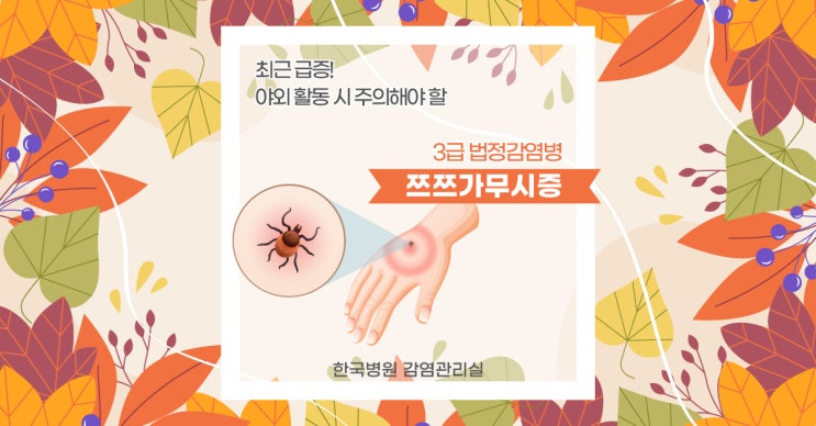 쯔쯔가무시 급증 주의, 의심 증상 있으면 빠른 치료 받아야