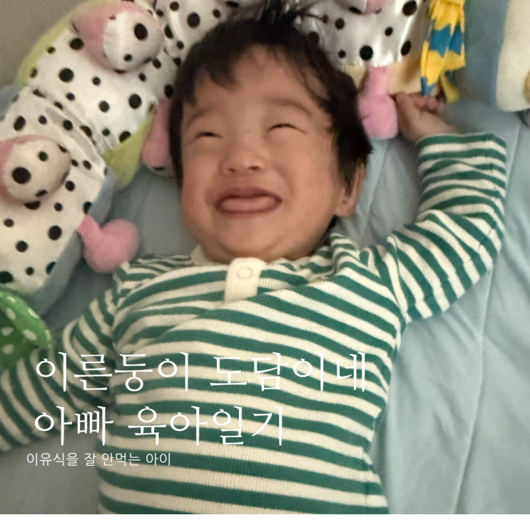 이유식을 잘 안먹는 아이 D+382 이유식을 잘 안먹는 아이 D+382