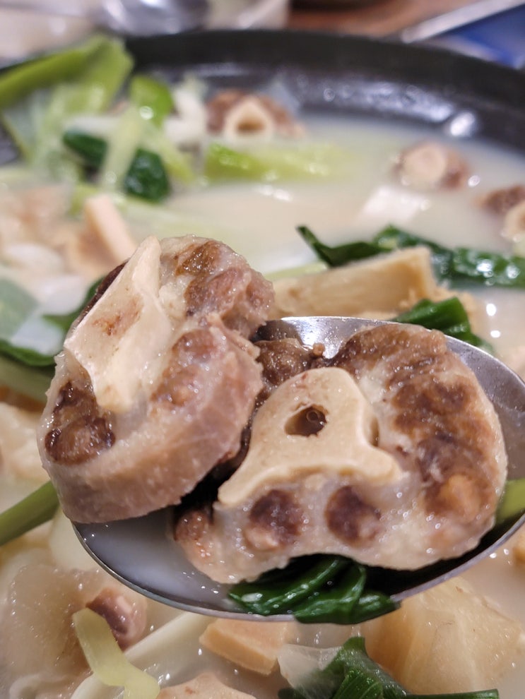  안양 인덕원 맛집 쌀쌀할 때 생각나는 장내동도가니