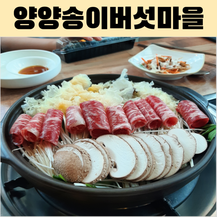  양양 버섯전골 맛집 송이버섯마을