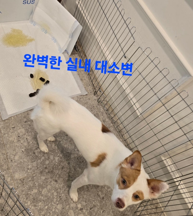 사진 2