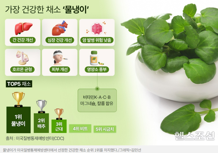 이 채소가 1위? 미국 CDC가 뽑은 가장 건강한 채소, ooo의 놀라운 효능! 이 채소가 1위? 미국 CDC가 뽑은 가장 건강한 채소, ooo의 놀라운 효능!