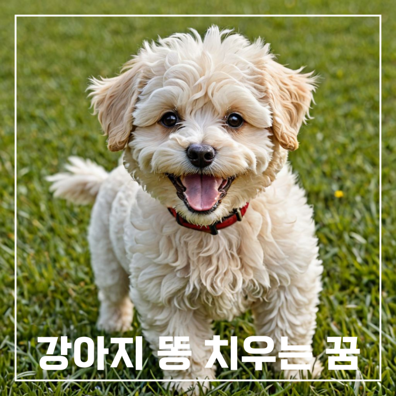 강아지 똥 치우는 꿈, 개똥 치우는 꿈 해몽 해석
