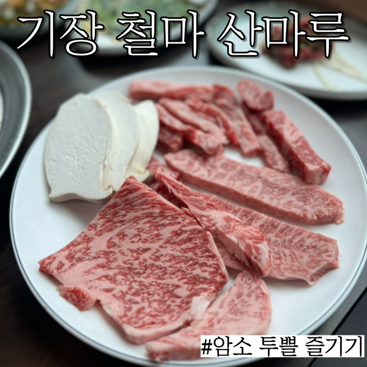  철마 한우 맛집: 한우 투쁠 암소가 맛있는 "철마한우 산마루"