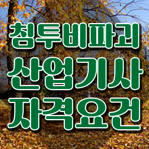  침투비파괴검사산업기사 침투비파괴검사산업기사 시험응시조건 집에서 온라인으로 간편하게 완료한 후기