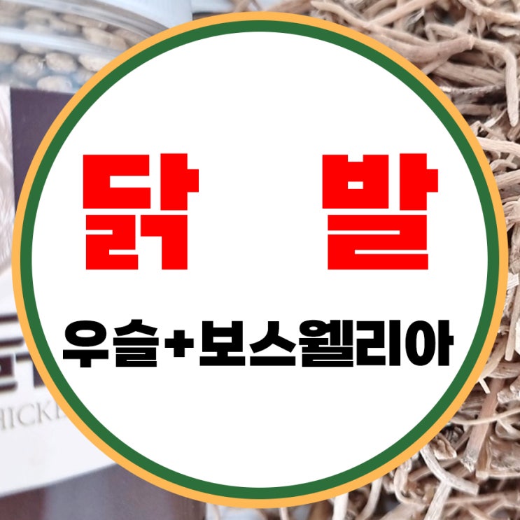 닭발 효능 국내산 환 먹는법 우슬 뿌리 건재 하루섭취량