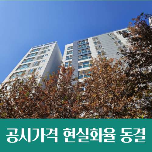  아파트 공시가격 현실화율, 내년에도 69% 동결 전망
