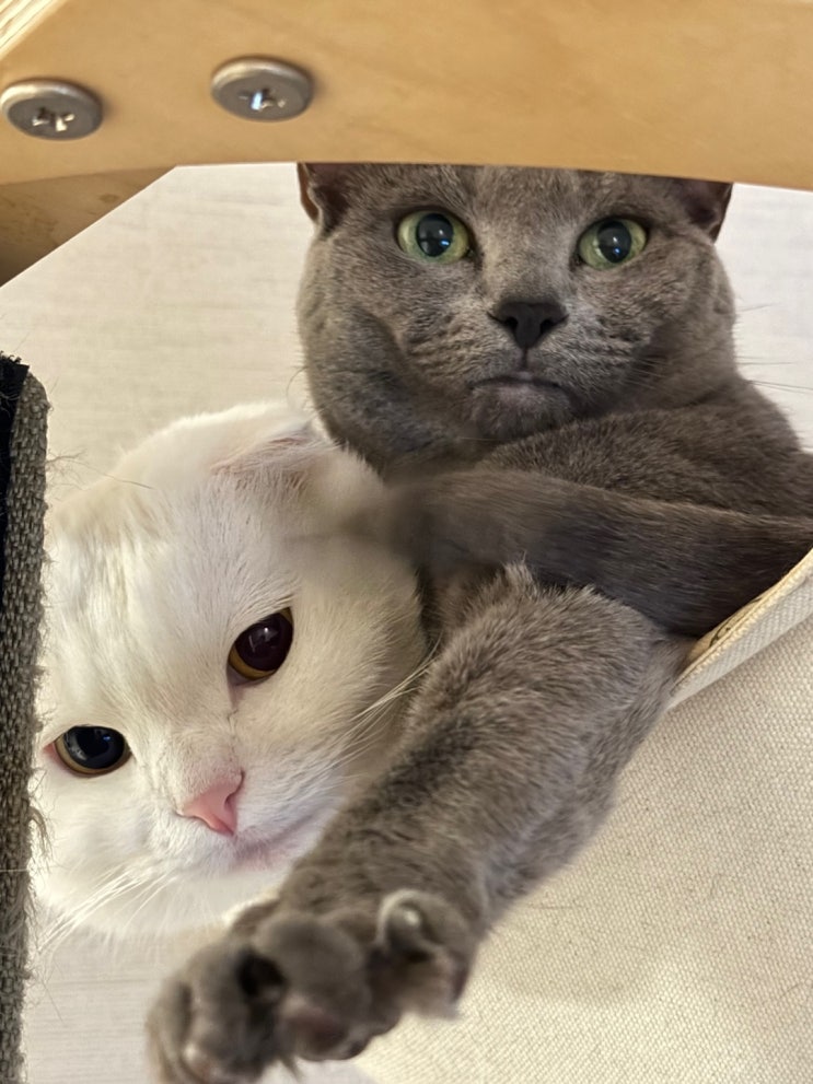  기분이 째질때 표현할 줄 아는 사람
