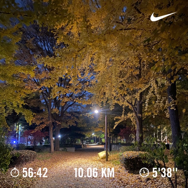  러닝로그_241114 배부르지만 10km