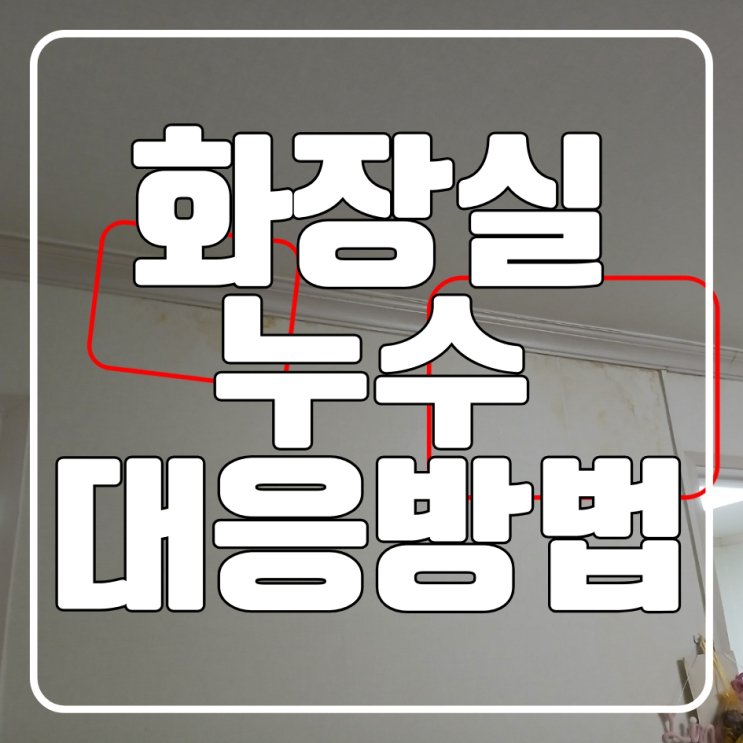 수원 화장실 누수 대응방법 원인 확인ㅣ해결공사ㅣ아랫집 복구ㅣ보험처리