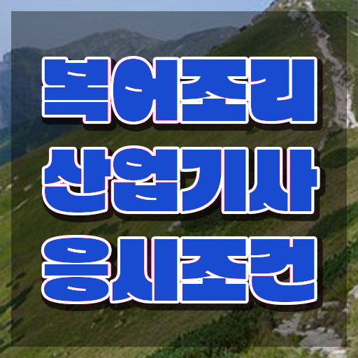  방과후수업교사 , 동영상으로 복어조리산업기사자격증 취득한 방법