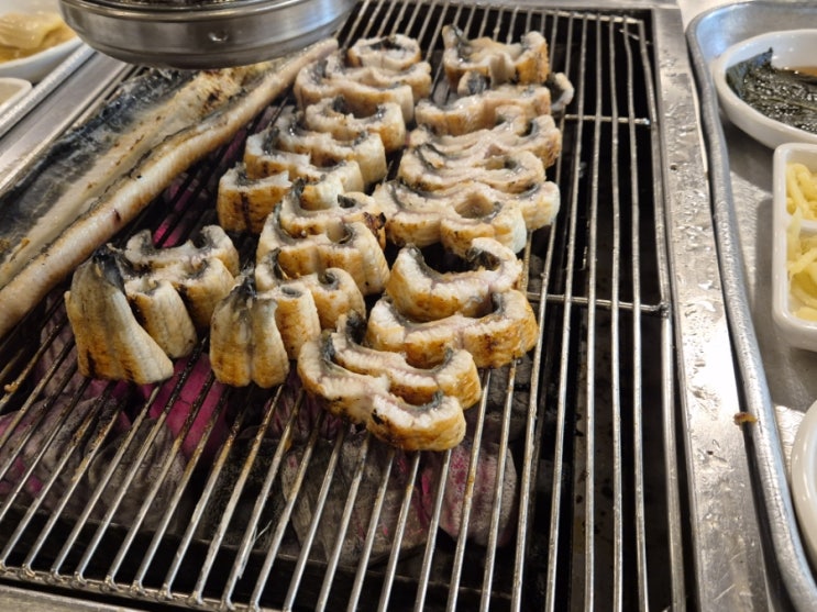  d-59  조기종료해도 되겠는데?