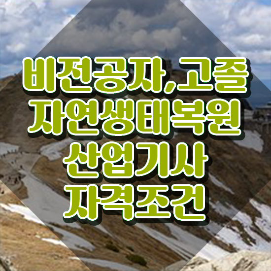  자연생태복원산업기사 자격 자연생태복원산업기사 취득자격 온라인으로 빠르게 완료한 후기