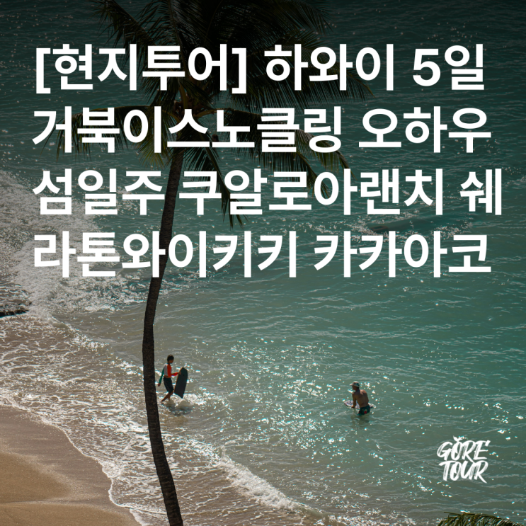  [현지투어] 하와이 5일 꽉찬일정ㅣ거북이스노클링 오하우섬일주 쿠알로아랜치 쉐라톤와이키키 카카아코