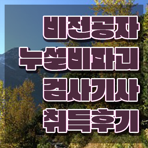  누설비파괴검사기사 시험자격 온라인으로 쉽고 빠르게 끝낸 비법