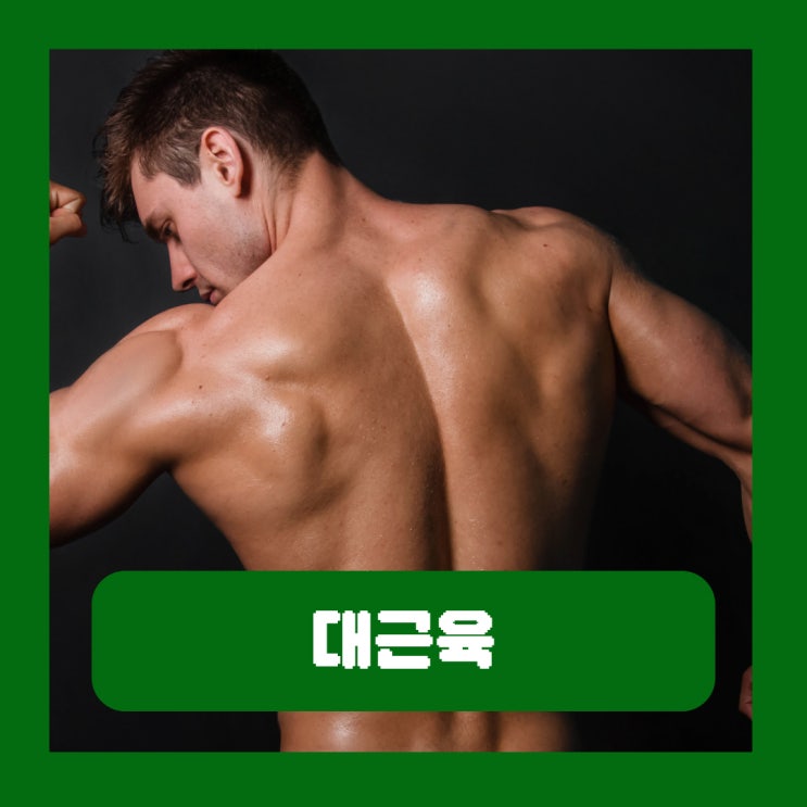  대근육 종류 3대 운동이 중요한 이유 운동하는 방법