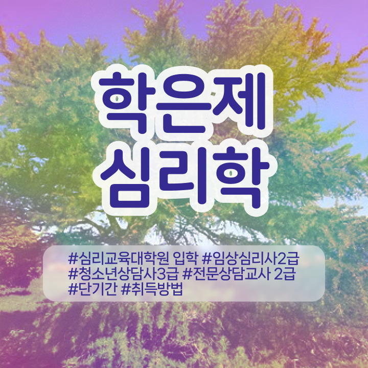  , 심리학 전공 온라인 교육원 통해서 준비한 전략