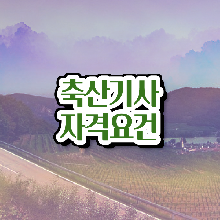  축산기사 응시조건 인강으로 빠르게 준비한 팁