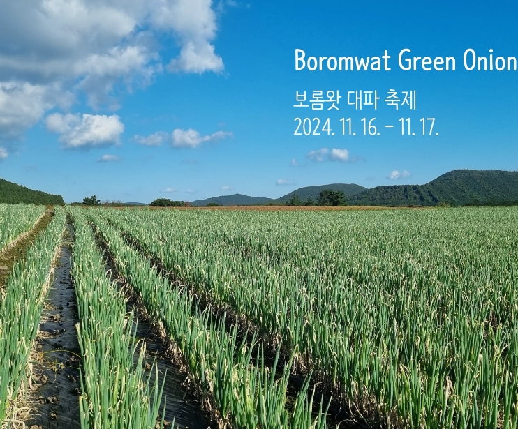  제주 보롬왓 대파축제 제주 서귀포