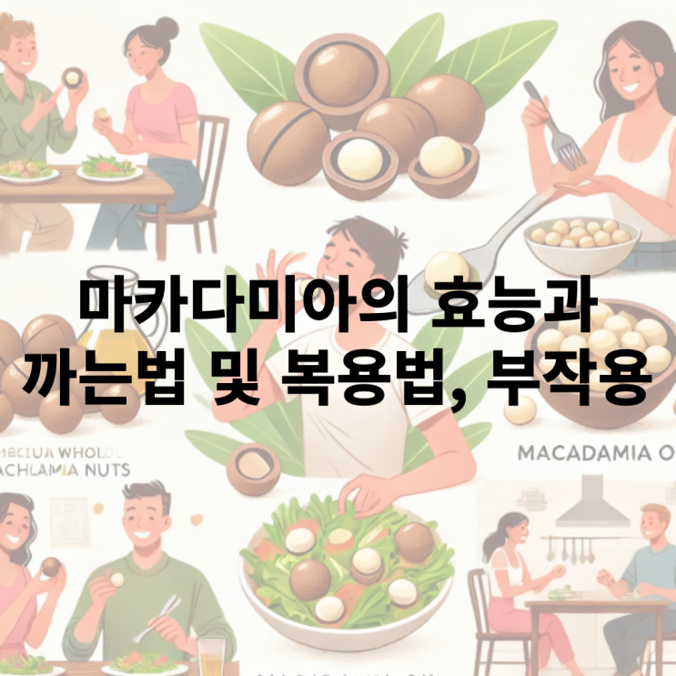  마카다미아의 효능과 까는 법, 부작용은?