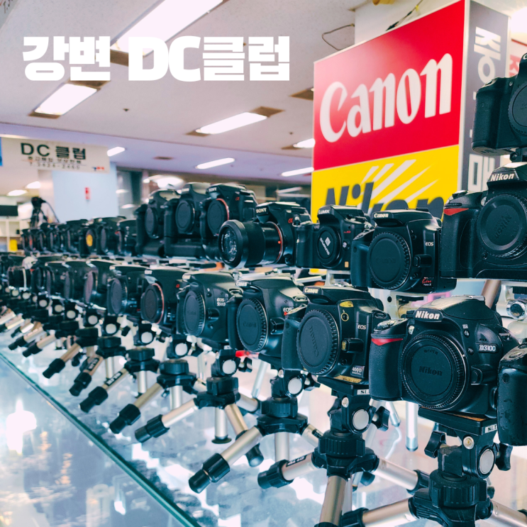  강변 DC클럽 중고카메라 매입 캐논 EOS R 상담 후기