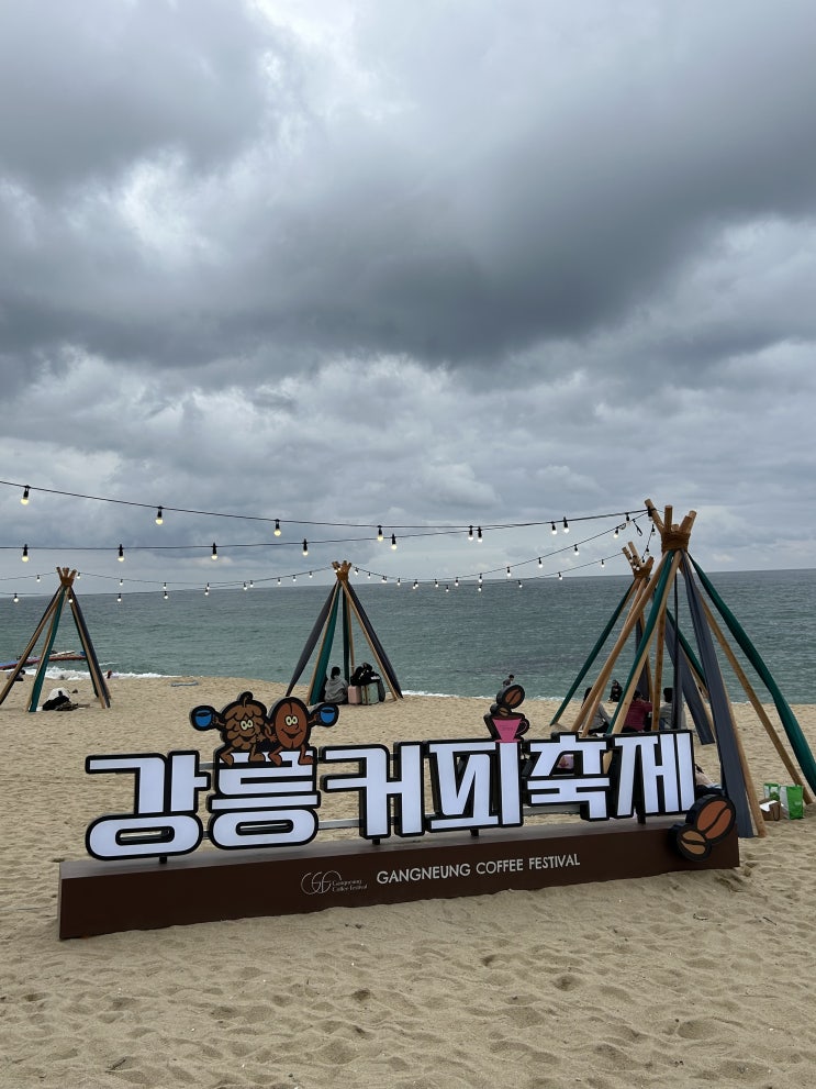  안목해변 강릉 커피거리에서 열린 <제16회 강릉커피축제> 후기