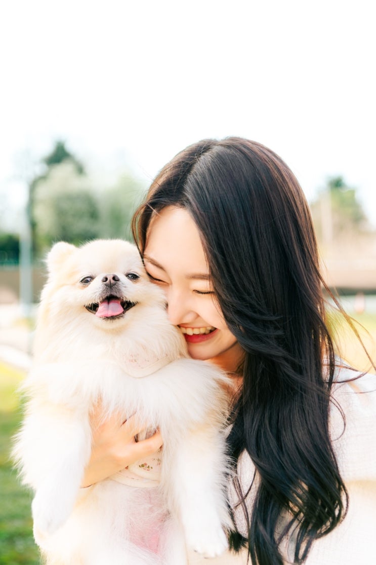  [스냅사진] 반려견 스냅사진 | 인물 스냅사진 추천 "뷰모먼트"