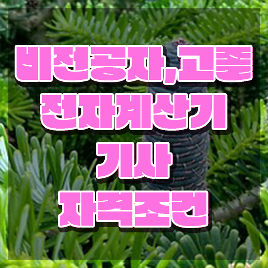  전자계산기기사 비전공자 전자계산기기사 시험응시조건 온라인 수업으로 단기간에 준비한 비법