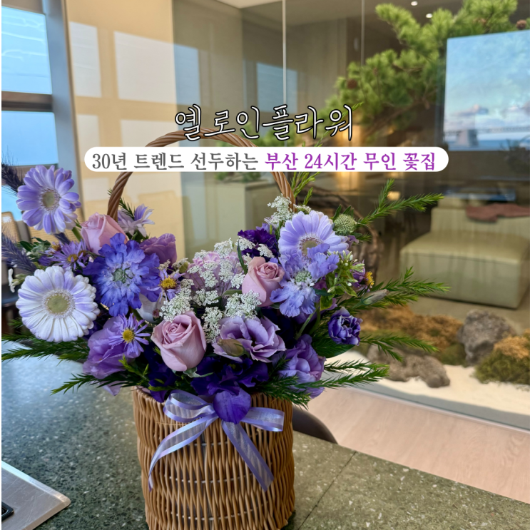  [부산 수영] 옐로인플라워 : 부산 전지역 당일 예약, 배송 가능, 30년동안 트렌드를 선두하는 24시간 무인 식물샵 꽃집