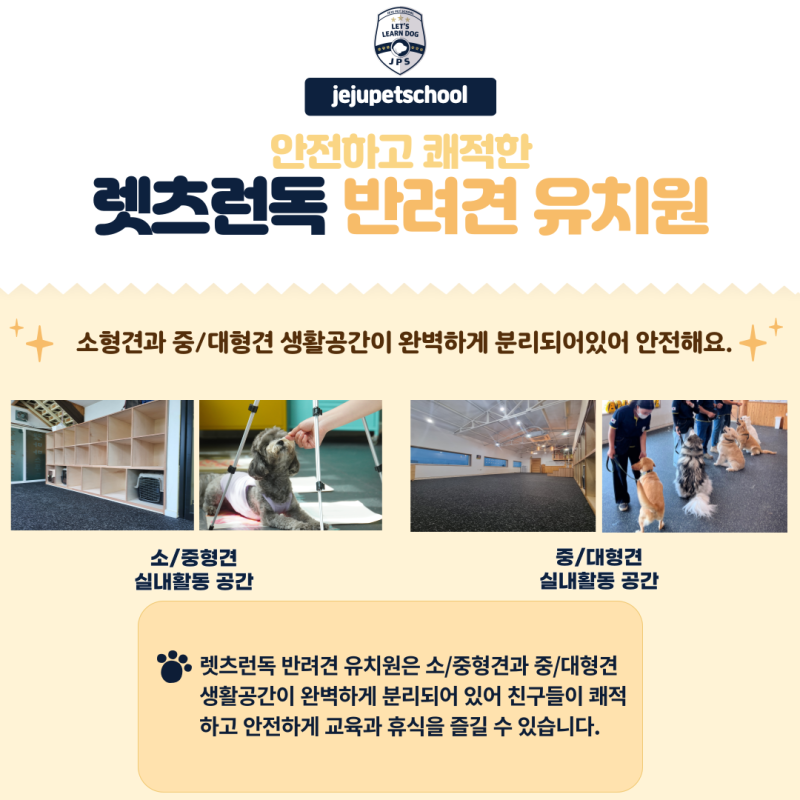 사진 3