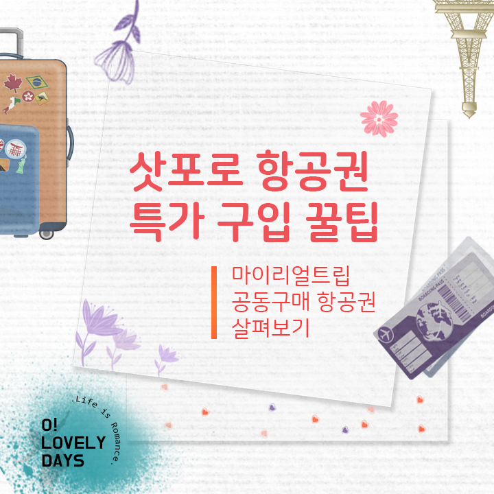  삿포로 항공권 특가 마이리얼트립 공동구매 항공권 저렴 구입 꿀팁